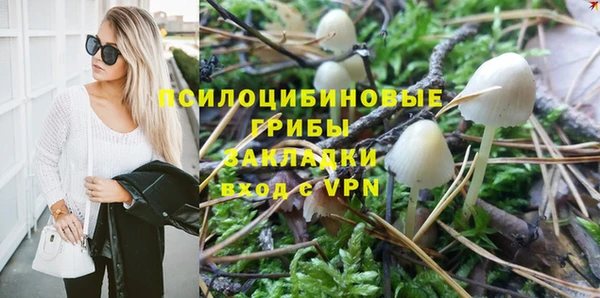 spice Мегион