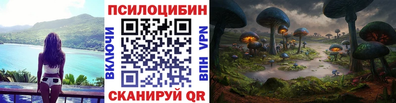 Псилоцибиновые грибы прущие грибы Звенигово